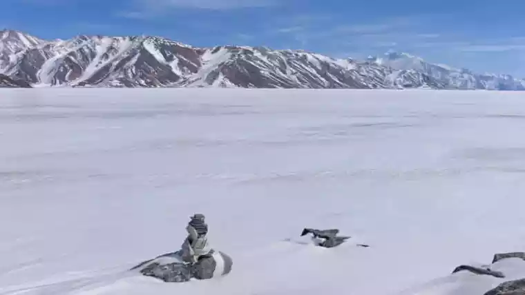 Changtang, Ladakh, India