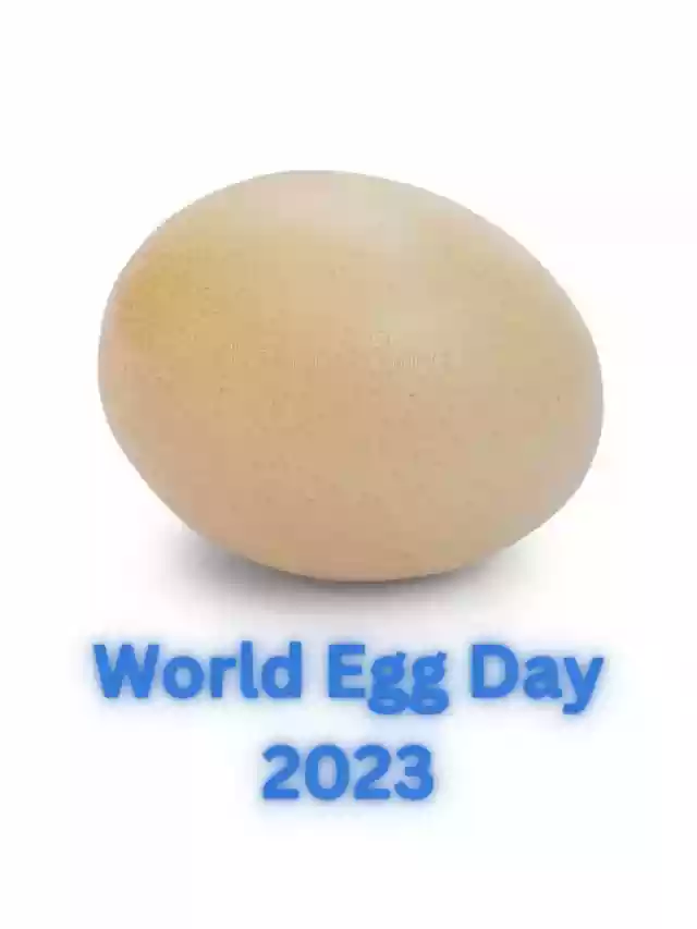 विश्व अंडा दिवस 2023: क्यों मनाते हैं अंडा दिवस